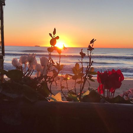 Appartamento Fronte Mare Con Terrazzo Alassio Dış mekan fotoğraf